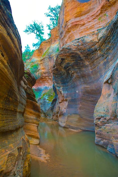 Slot canyon at Zion National Park