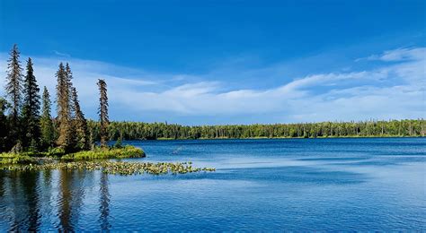 Kenai Peninsula Fishing - Alaska Outdoors Supersite