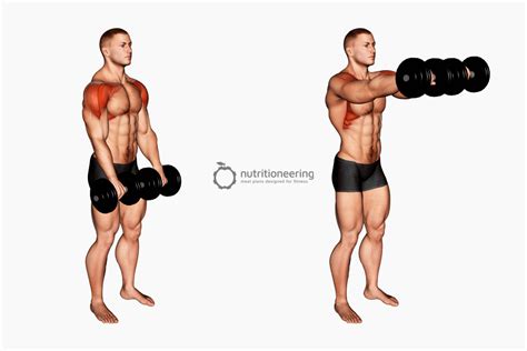 23 Anterior Deltoid Exercises for Shoulder Size & Strength ...