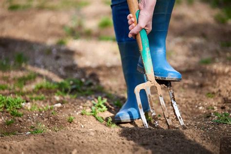 Spading Fork Vs. Digging Fork: What's The Difference?