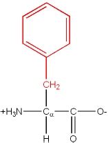 Nomenclature of Amino acids - Chemistry LibreTexts