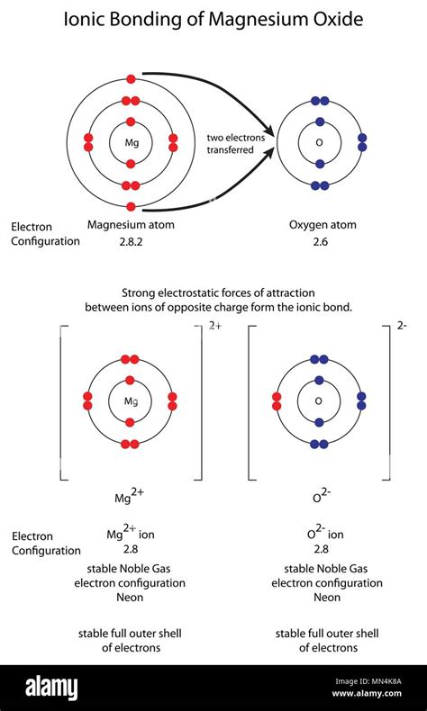 Diagram to show ionic bonding in magnesium oxide Stock Vector Image ...