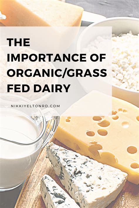 A2 Milk Benefits + The Problem with A1 Dairy - Nikki Yelton RD