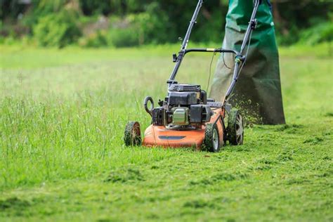 Why a Professional Lawn Maintenance Company Should Be Hired to Cut Your ...