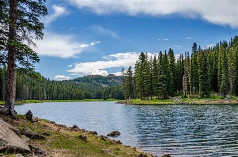 Grand Mesa National Forest