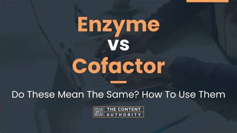 Enzyme vs Cofactor: Do These Mean The Same? How To Use Them