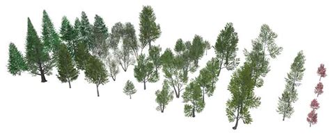 48 3D trees for SketchUp | SketchUcation