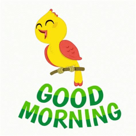 Good Morning Birdie Cute GIF - GoodMorningBirdie Bird Cute - Discover ...