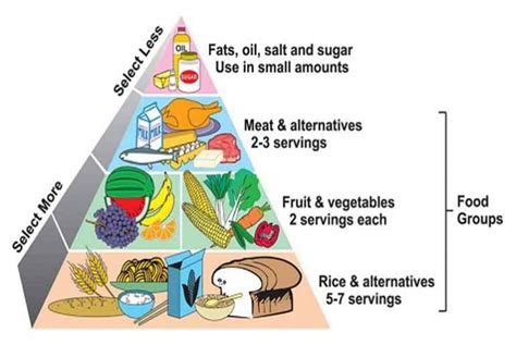 Proper And Balanced Diet Helps Lose Weight And Improves Overall Health