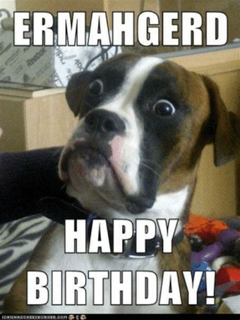 List Of Dog Memes Birthday For You - numnab