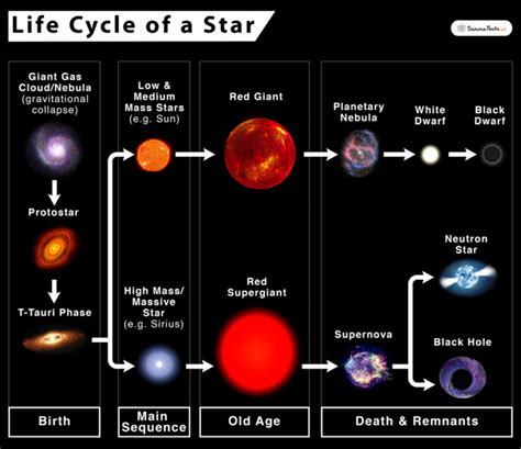 Life Cycle of a Star: Stages, Facts, and Diagrams