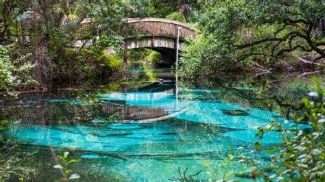 Must-See the Top 10 Best Remarkable Places to Visit in Florida for ...