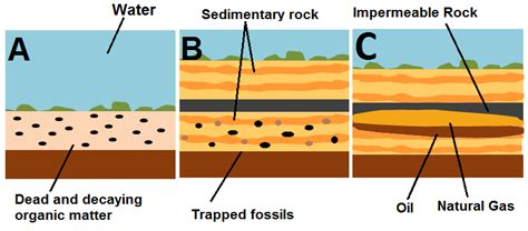 Top 76+ imagen formation of fossil fuels - Abzlocal.mx