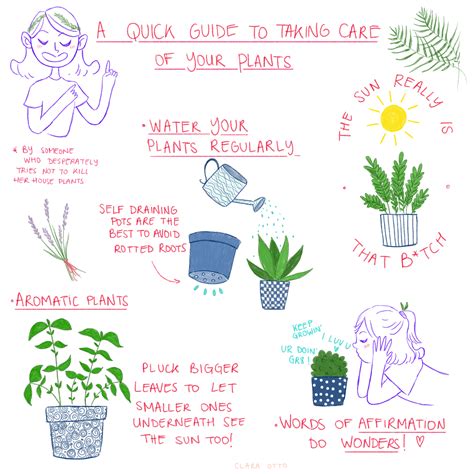 How to take care of house plants (by me) : r/coolguides