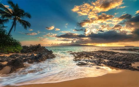 Download Wallpaper 1440x900 Palm trees, sea, clouds, beach, sunset HD ...