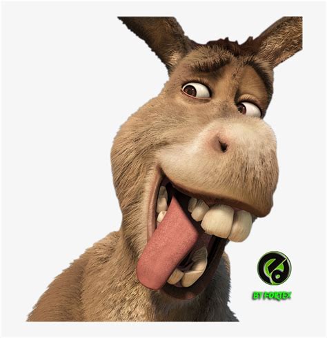 Smiling Donkey Shrek - Cartoon To Real Life Transparent PNG - 709x768 ...