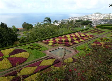 File:Botanical garden madeira hg.jpg - Wikimedia Commons