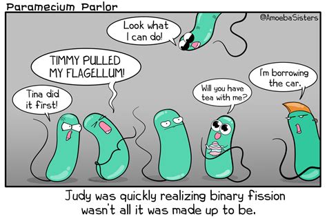 College tuition is going to be rough. | Fun science, Biology humor ...