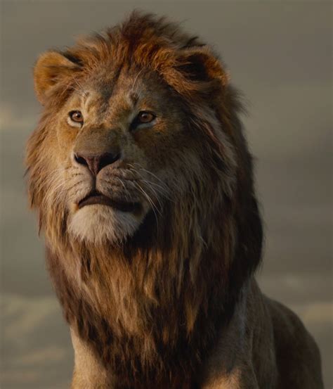 Category:The Lion King (2019 film) characters | The Lion King Wiki | Fandom