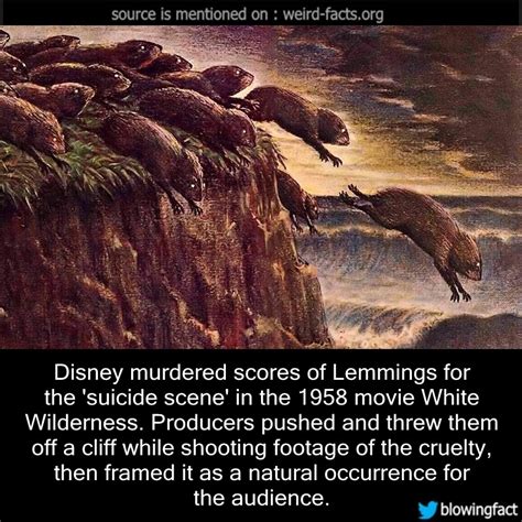 Weird Facts — Disney murdered scores of Lemmings for the...