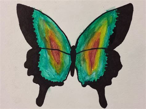 Angela Anderson Art Blog: Butterfly Watercolor Paintings - Kids' Art Class