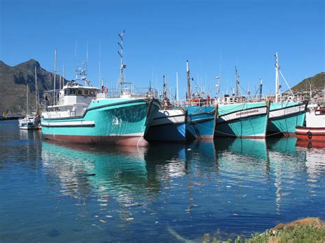 CKD Boats - Roy Mc Bride: Hout Bay Harbour today