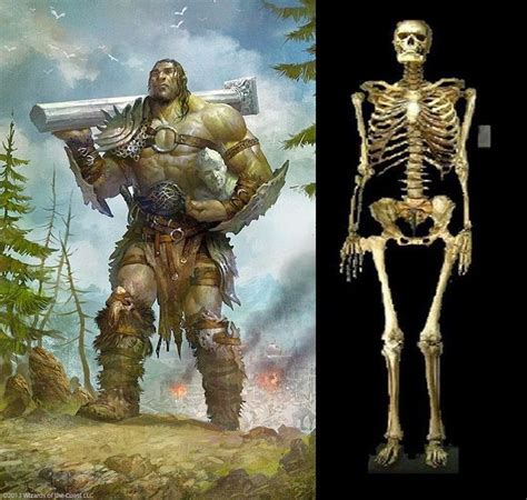 THE ANCIENT GIANTS WHO RULED THE EARTH | Nephilim giants, Human giant ...