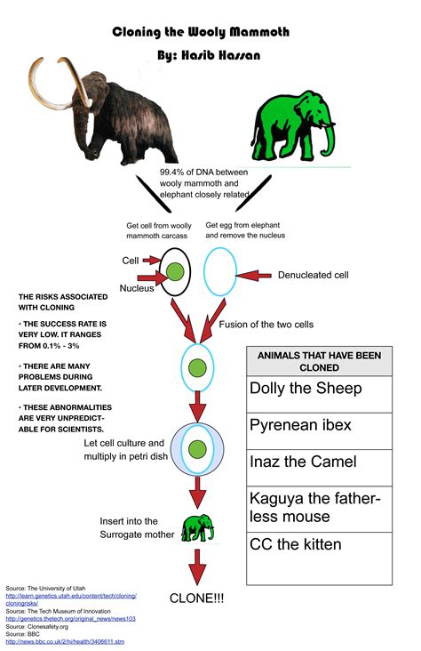 Infographic: Cloning the Wooly Mammoth – SLI