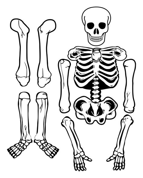 Cut Out Printable Skeleton Bones Template