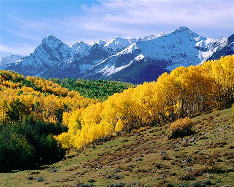 Dallas Divide Fall Color | Ridgeway, CO | Thomas Mangan Photography ...