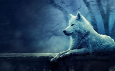 Lone Wolf Wallpapers - Wallpaper Cave