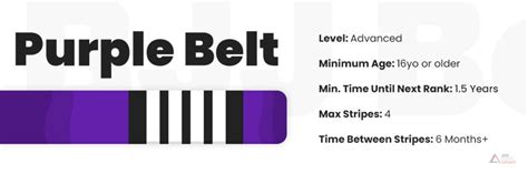 Guide to BJJ Belts Ranking System [8 Belts Explained]