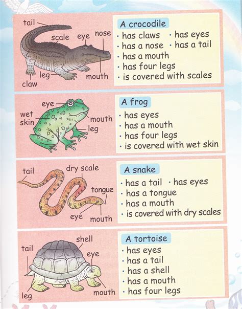 LIM LAI FONG (D20102043844) Science Year 3: Unit 1 : External Features ...