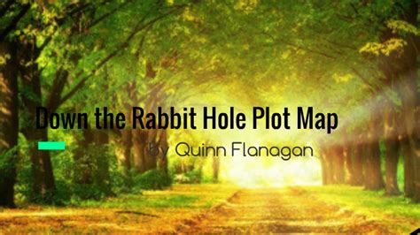 Down the Rabbit Hole Plot Map by Quinn Flanagan