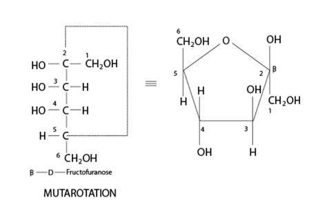 Fructose- Structure, Properties & Uses of Fructose | Chemistry | Byju's