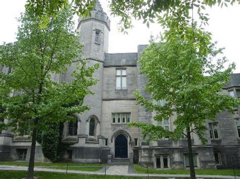 comme au cinéma!!! - Princeton University Pictures - TripAdvisor