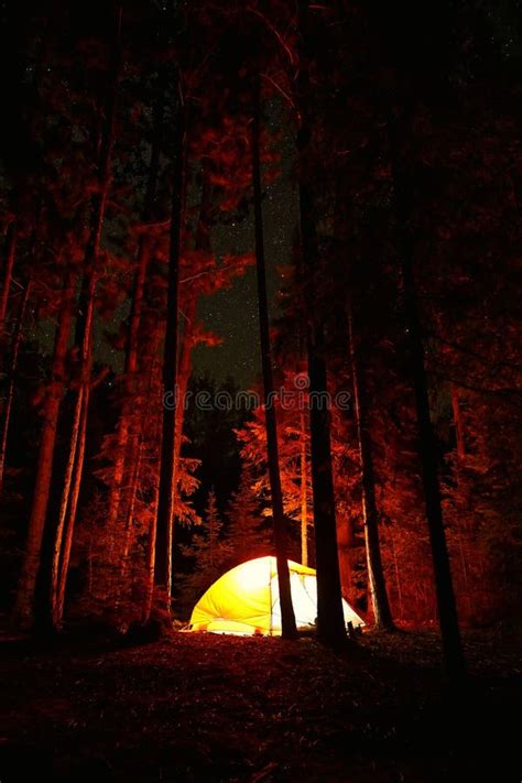 Camping Under the Pines, Quetico Provincial Park, Ontario, Canada Stock ...