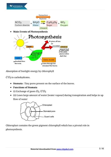 Class 10th Science Life Processes NCERT Notes CBSE 2023