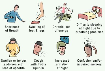 Heart Failure: What You Need to Know – Health Park Pharmacy