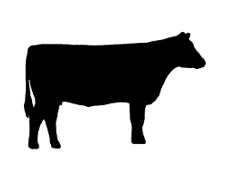 Angus Cow Silhouette at GetDrawings | Free download