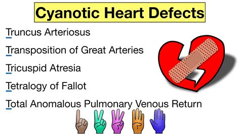 Keyword for What Are The 5 Main Types Of Congenital Heart Disease