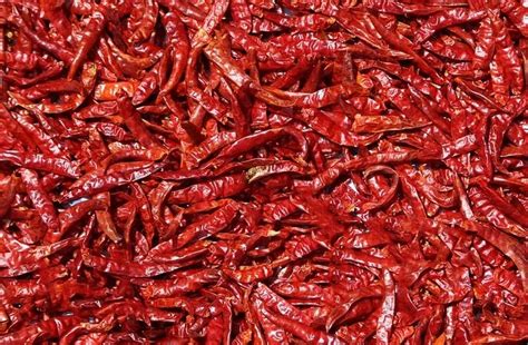 Whole Red Chilli Supplier from Indore