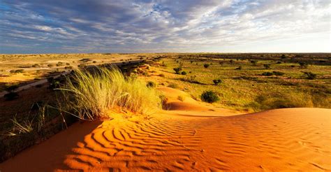 Adventure Traveller - Kgalagadi Transfrontier Park