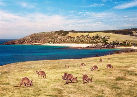 Major Travel Plc :: Melbourne to Adelaide via Kangaroo Island Self Drive