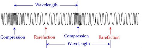 Transverse and Longitudinal Wave - Physics Project Xiong