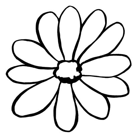 Daisy Flower Drawing | Best Flower Site