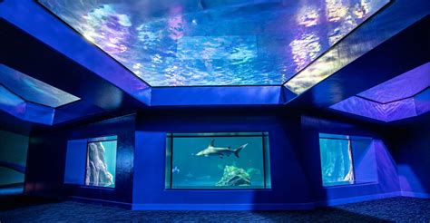 Georgia Aquarium Predator Exhibit | Uzun+Case