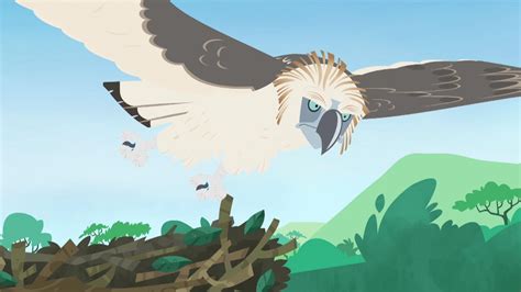 Eagles | Wild Kratts | PBS LearningMedia