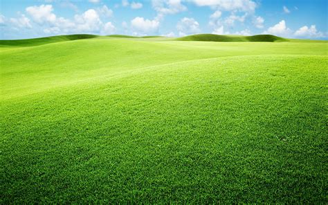 Grassland For HD wallpaper | Pxfuel