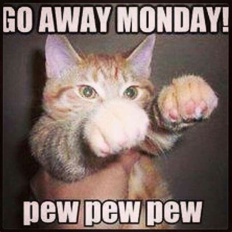 Go away Monday. Meme | Grumpy cat humor, Funny cats, Grumpy cat